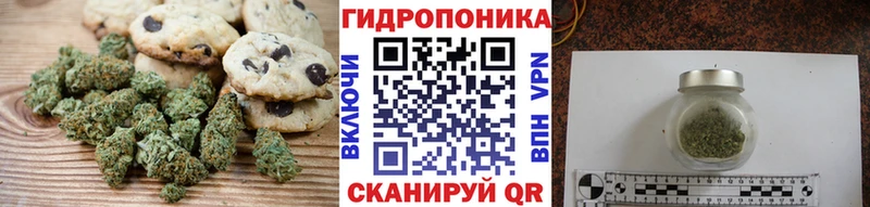 дарнет шоп Фокино Еда ТГК марихуана