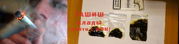 индика Абаза
