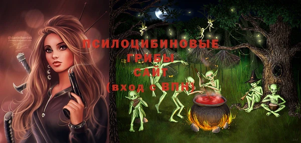 PSILOCYBIN Абдулино