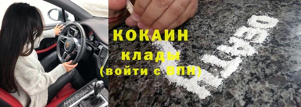 индика Абаза
