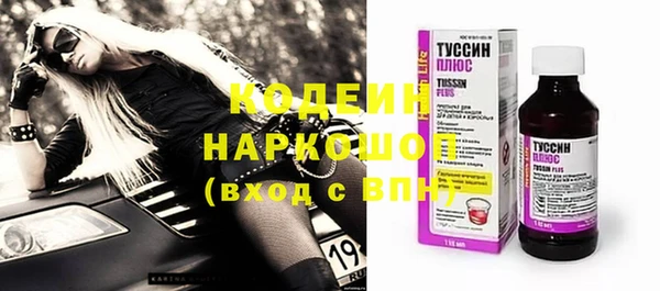 индика Абаза
