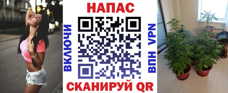 Каннабис конопля  где купить наркоту  Фокино 